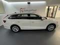 Skoda Octavia Combi 2,0TDI DSG Style *LED*NAVI*ACC*Sitzheizun... Weiß - thumbnail 3