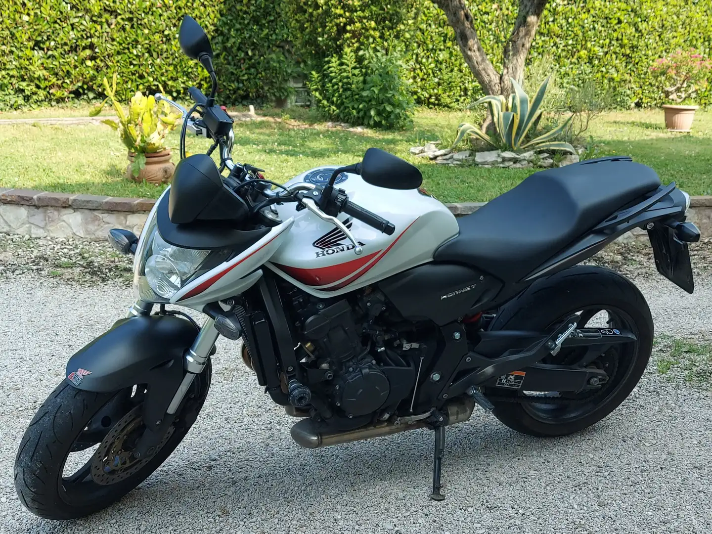 Honda Hornet 600 CB600F | 2010 Biały - 1