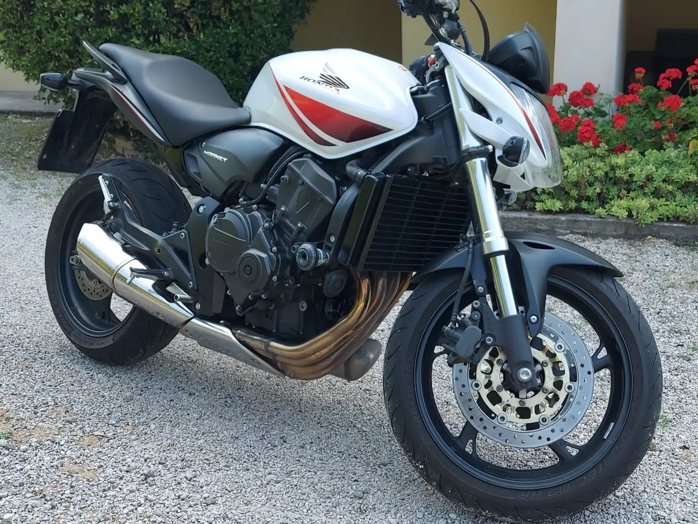 Honda Hornet 600 CB600F | 2010 Biały - 2