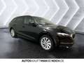 Skoda Octavia Combi 2.0 TDI DSG Selection AHZV NAVI LED Schwarz - thumbnail 4