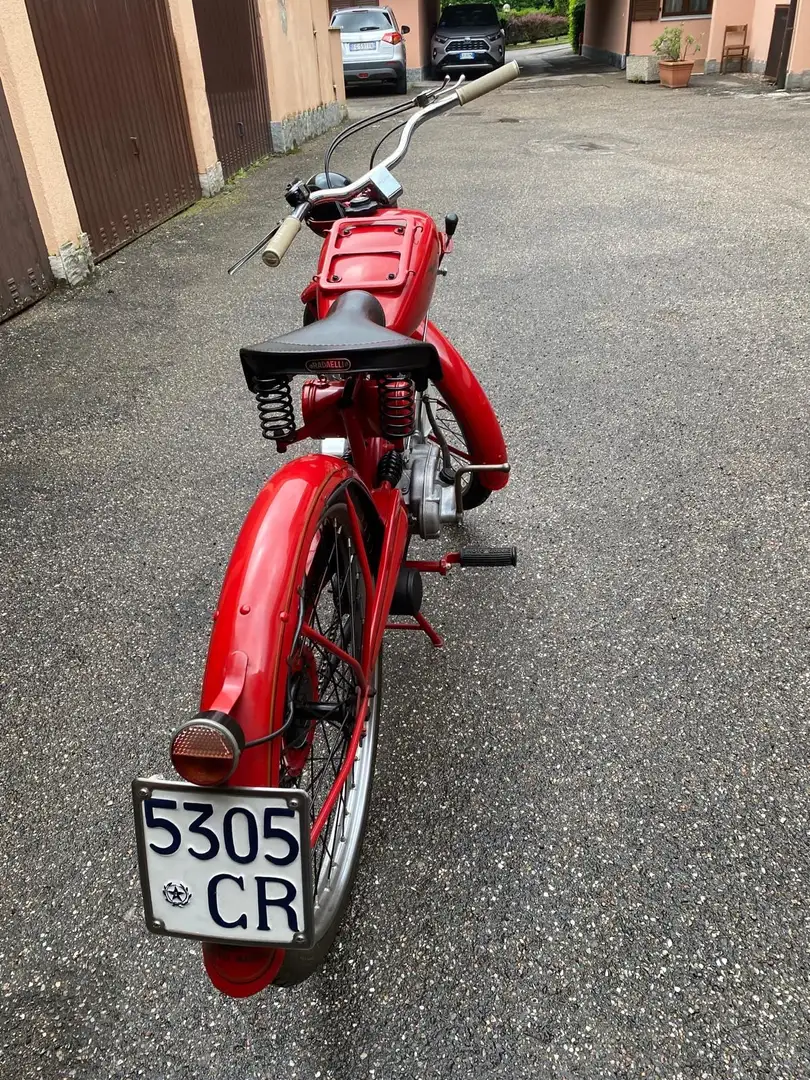 Moto Guzzi Cardellino 65 Rot - 2