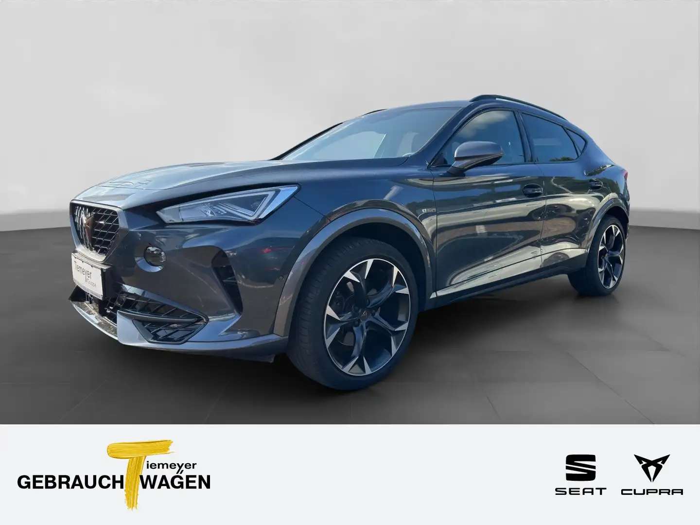 CUPRA Formentor 1.5 TSI DSG LM19 AHK NAVI ACC Grau - 1