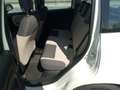 Fiat Panda Panda 1.3 MJT S&S Lounge Weiß - thumbnail 19