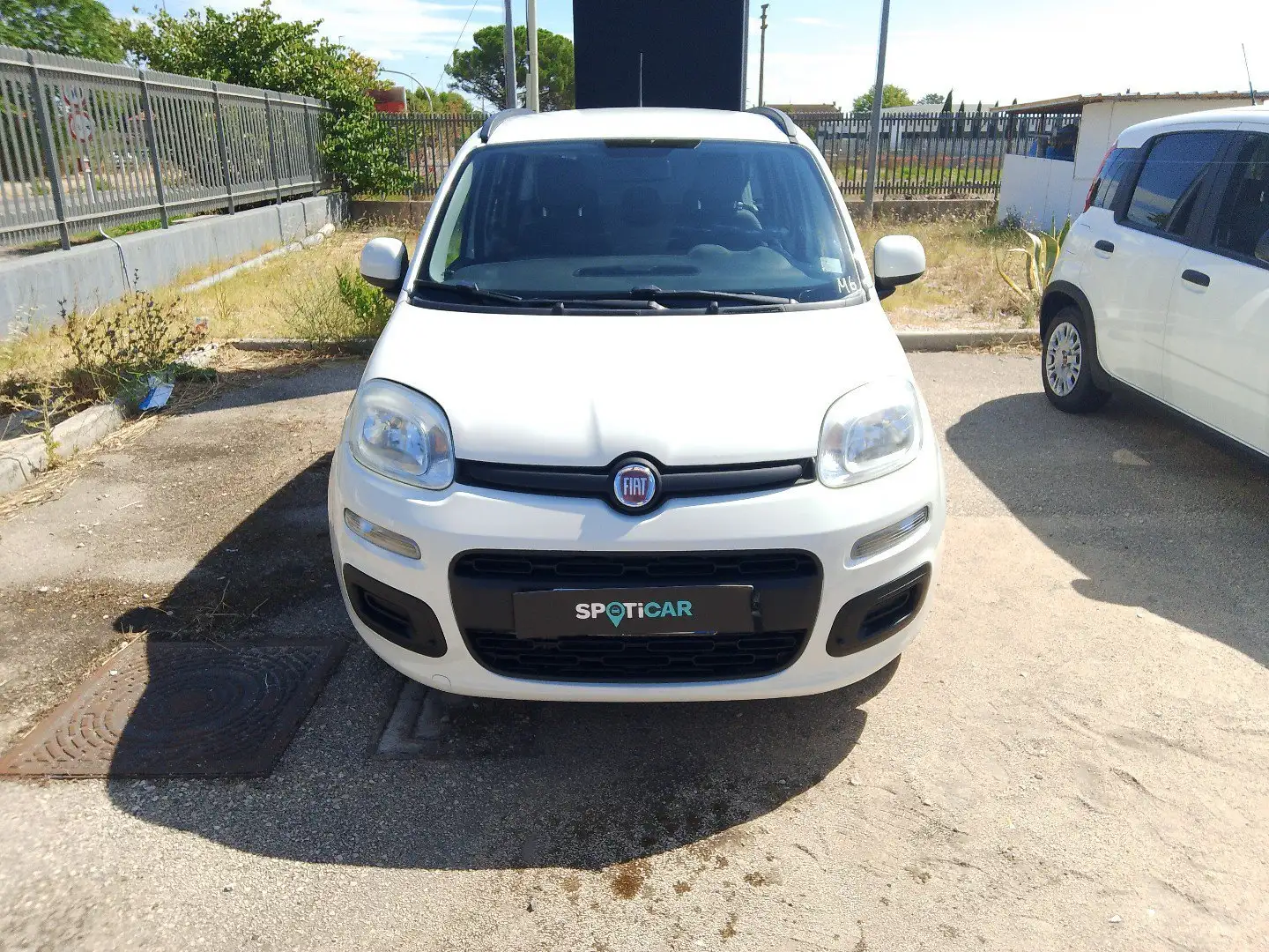 Fiat Panda Panda 1.3 MJT S&S Lounge Weiß - 2