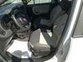 Fiat Panda Panda 1.3 MJT S&S Lounge Weiß - thumbnail 16