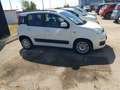 Fiat Panda Panda 1.3 MJT S&S Lounge Weiß - thumbnail 4