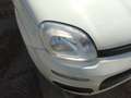 Fiat Panda Panda 1.3 MJT S&S Lounge Weiß - thumbnail 11
