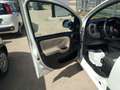 Fiat Panda Panda 1.3 MJT S&S Lounge Weiß - thumbnail 26