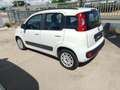 Fiat Panda Panda 1.3 MJT S&S Lounge Weiß - thumbnail 8
