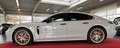 Porsche Panamera 4S E-Hybrid SAGA ACC APROVED 11.2026 Gris - thumbnail 4