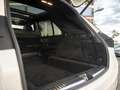 Mercedes-Benz GLE 400 400d 4Matic VAN AMG Line | 22" LMV | ADS+ | LED IH Weiß - thumbnail 48