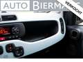 Fiat Panda 1.0 Hybr. Launch Ed. / INCL. 12 mnd BOVAG / 1e eig Vert - thumbnail 25