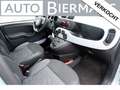 Fiat Panda 1.0 Hybr. Launch Ed. / INCL. 12 mnd BOVAG / 1e eig Vert - thumbnail 14