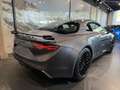 Alpine A110 S Titan Akrapovic Abgasanlage Gris - thumbnail 3