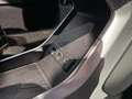 Alpine A110 S Titan Akrapovic Abgasanlage Gris - thumbnail 41