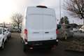 Ford Transit L3 H3 TREND Kasten NAVI 360° ACC WinterPak uvm. Weiß - thumbnail 3