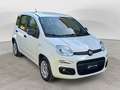 Fiat Panda 1.3 MJT 95 CV FENDINEBBIA/COMANDI AL VOLANTE (041) Blanc - thumbnail 2