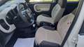 Fiat Panda 1.3 MJT 95 CV FENDINEBBIA/COMANDI AL VOLANTE (041) Blanc - thumbnail 10