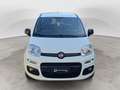 Fiat Panda 1.3 MJT 95 CV FENDINEBBIA/COMANDI AL VOLANTE (041) Blanc - thumbnail 3