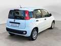 Fiat Panda 1.3 MJT 95 CV FENDINEBBIA/COMANDI AL VOLANTE (041) Blanc - thumbnail 7