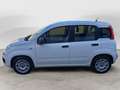 Fiat Panda 1.3 MJT 95 CV FENDINEBBIA/COMANDI AL VOLANTE (041) Blanc - thumbnail 5