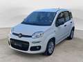 Fiat Panda 1.3 MJT 95 CV FENDINEBBIA/COMANDI AL VOLANTE (041) Blanc - thumbnail 1