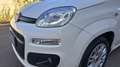 Fiat Panda 1.3 MJT 95 CV FENDINEBBIA/COMANDI AL VOLANTE (041) Blanc - thumbnail 9