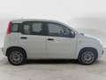 Fiat Panda 1.3 MJT 95 CV FENDINEBBIA/COMANDI AL VOLANTE (041) Bianco - thumbnail 5