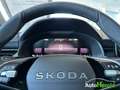 Skoda Kamiq Tour PDC V+H mit Kamera/LED/AHK Weiß - thumbnail 15