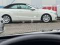 Mercedes-Benz E 400 E400d 4Matic AMG*ACC*WIDESCREEN*PANO*HEAD-UP*360 Grau - thumbnail 35