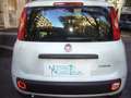 Fiat Panda 1.0 FireFly S&S Hybrid 5°posto Pack City Km0 Wit - thumbnail 9