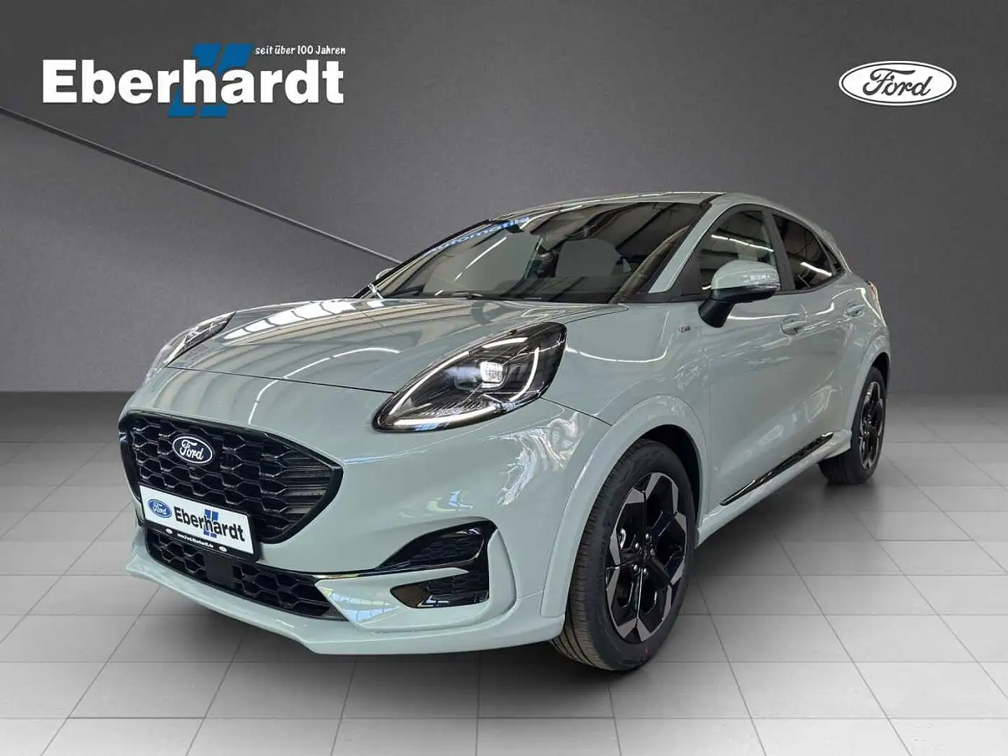Ford Puma ST-Line X Gris - 1