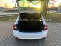 Skoda Rapid/Spaceback Spaceback Active Weiß - thumbnail 7