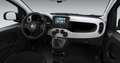 Fiat Panda Panda 1.0 FireFly S&S Hybrid Pandina Weiß - thumbnail 3