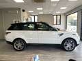 Land Rover Range Rover Sport Range Rover Sport 3.0 tdV6 HSE Dynamic auto Blanco - thumbnail 8