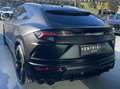 Lamborghini Urus Urus 4.0 V8 auto - thumbnail 5