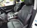 Renault Kadjar Crossborder/Navi/Kamera/Pano/Leder Weiß - thumbnail 11