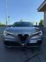 Alfa Romeo Stelvio Stelvio 2.0 Turbo 280 CV AT8 Q4 Super (206 kw) Grigio - thumbnail 1