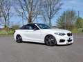 BMW 240 M240i Cabrio 8HP Adap-LED Prof-Navi Leder DAB H&R Bianco - thumbnail 7