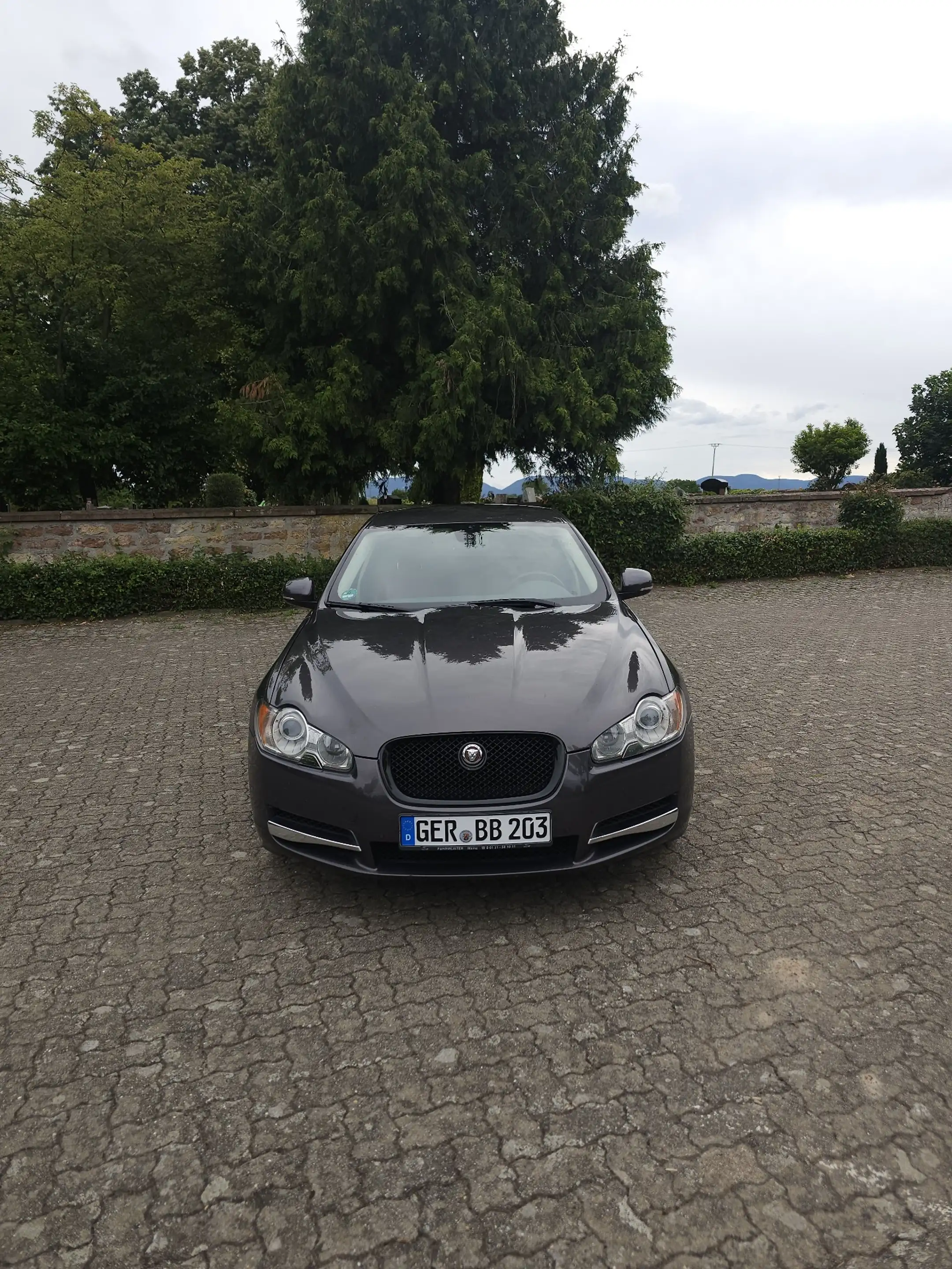 Jaguar XF 3.0 V6 D S Tüv 05/2028 M+S Reifen Vollausttattung — photo 2