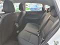 Hyundai i20 Trend 1.0T Mild-Hybrid 48V 101PS DAB/SHZ/CAM Blanc - thumbnail 10