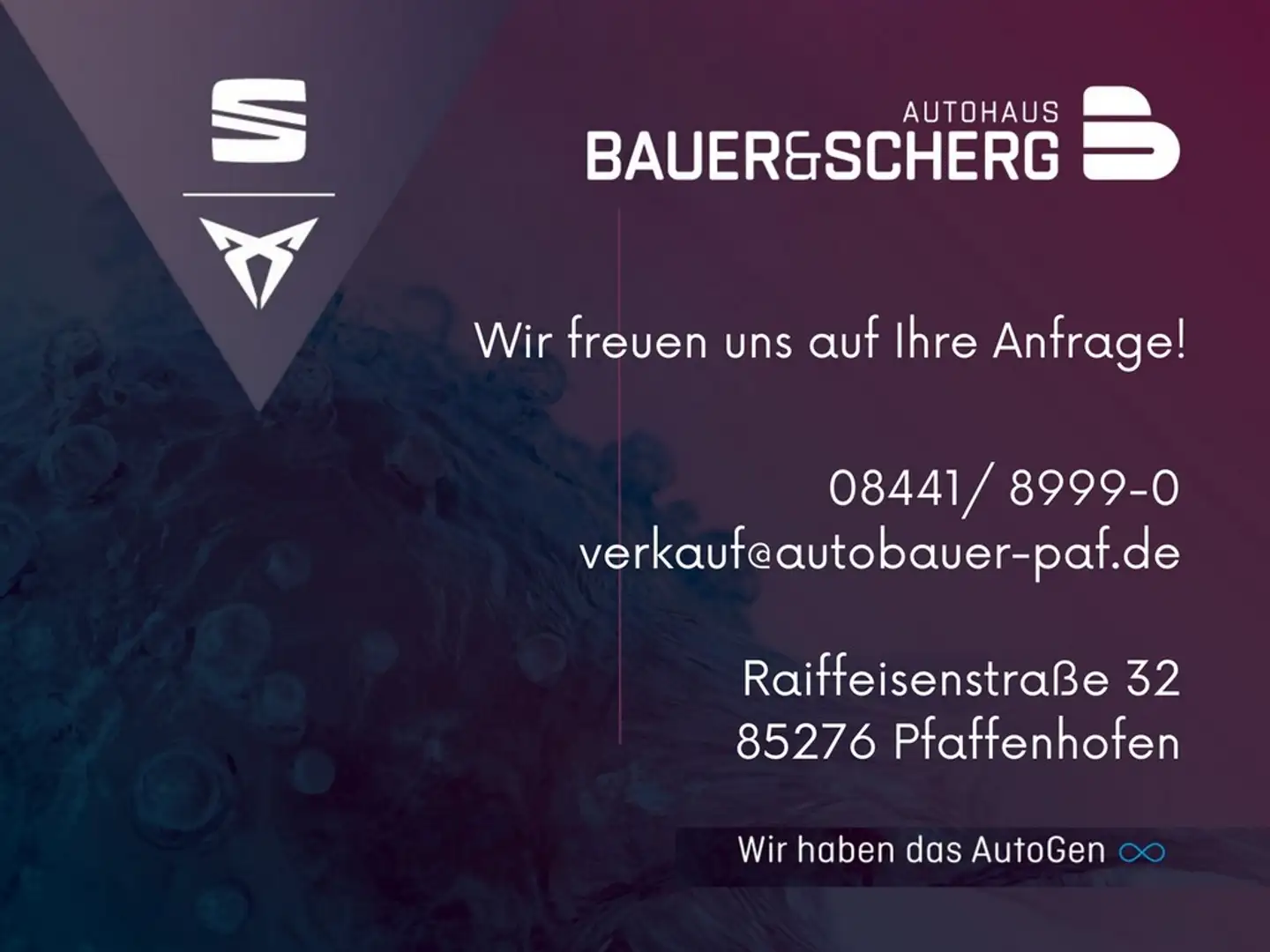 CUPRA Ateca 4x4 2.0 TSI 221 KW (300 PS) 7-GANG DSG P-DACH*AHK* Gris - 2