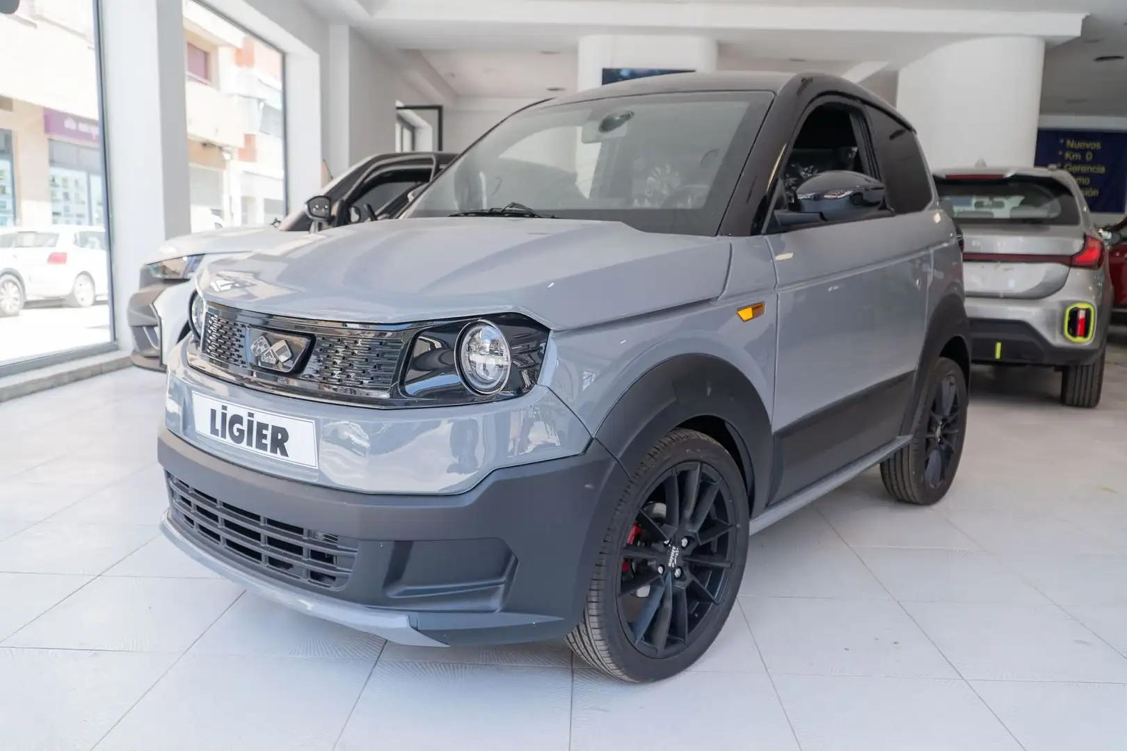 Ligier Myli E.PIC Confort - 1