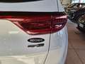 Kia Sportage 1.6 CRDI 136CV DCT7 AWD GT Line UNICO PROPRIETARIO Bianco - thumbnail 5