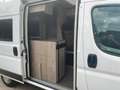 Clever Van Tour 540 Weiß - thumbnail 25