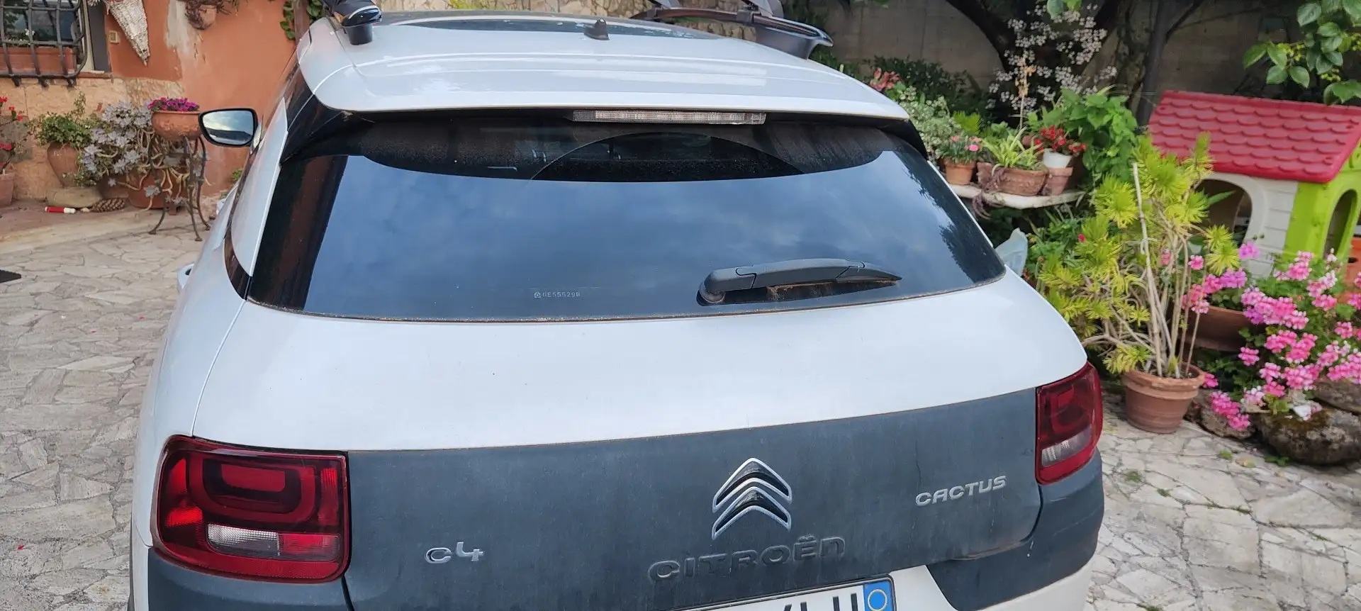 Citroen C4 Cactus - 1