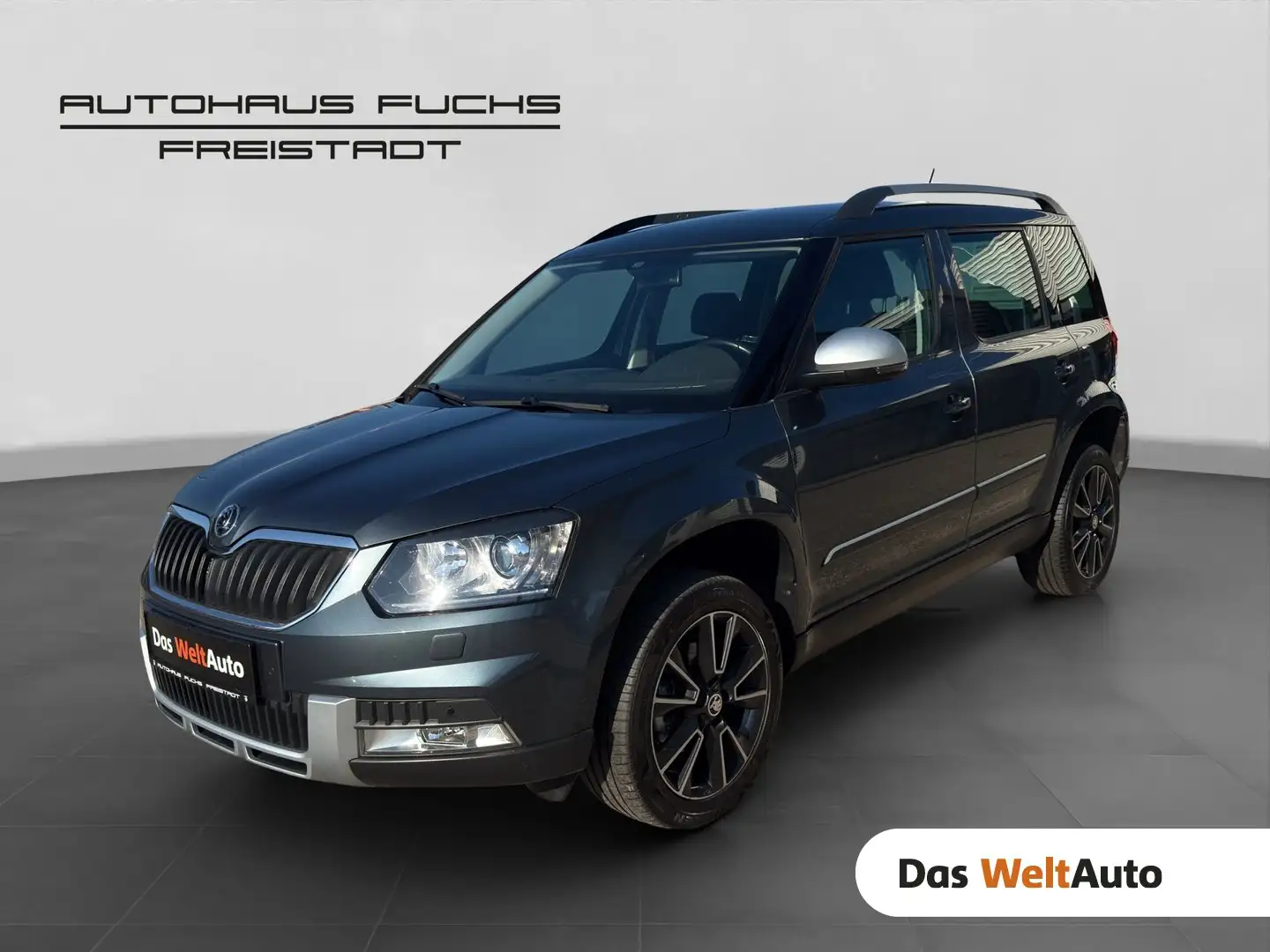 Skoda Yeti Ambition Outdoor 4x4 Grau - 1