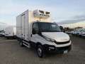 Iveco Daily 60c15 PM isotermico -20° Bianco - thumbnail 4