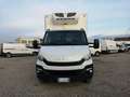 Iveco Daily 60c15 PM isotermico -20° Bianco - thumbnail 3