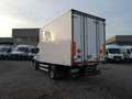 Iveco Daily 60c15 PM isotermico -20° Bianco - thumbnail 8